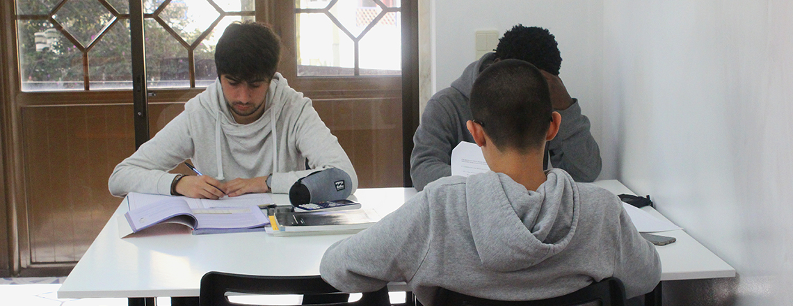 Preparação para Exames e Explicações Individuais