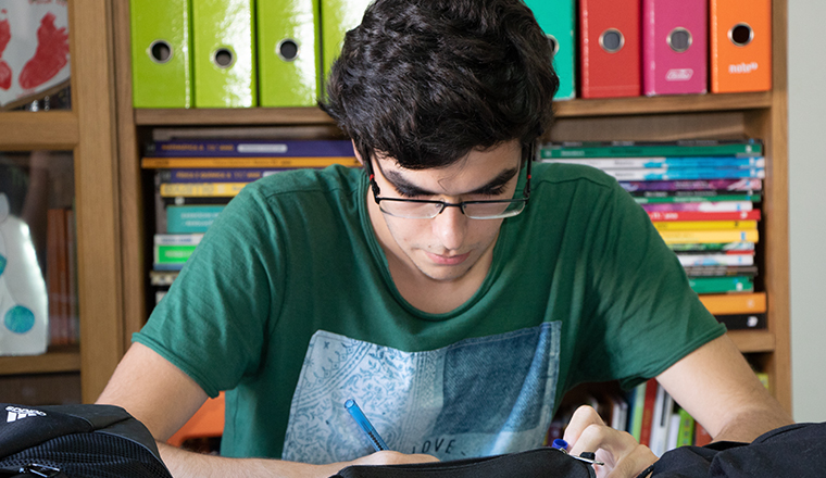 Apoio e Tutorias a Ensino Doméstico/Homeschooling e a Ensino Individual